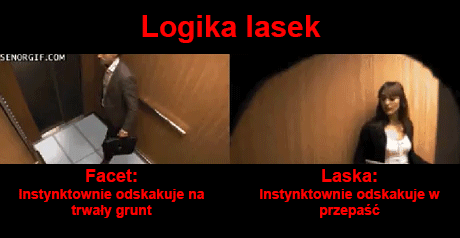 Logika lasek - 1