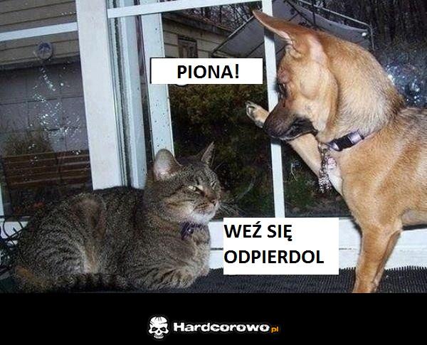 Piona! - 1