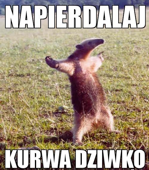 Napierdalaj - 1