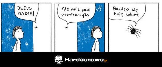 Pająk który ma fobię - 1