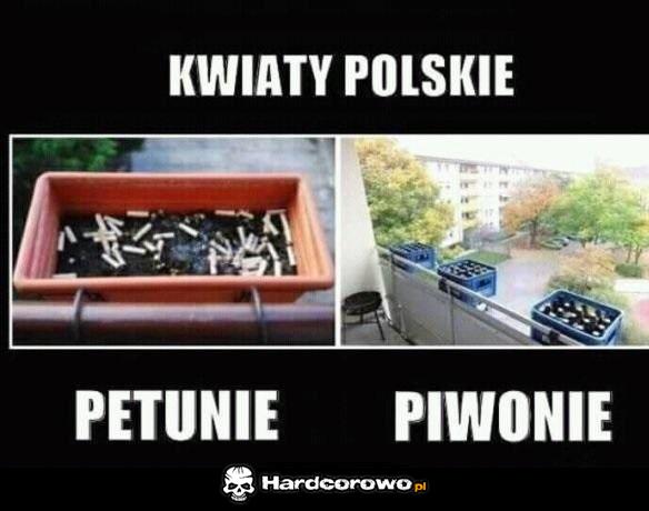 Sezon otwarty - 1