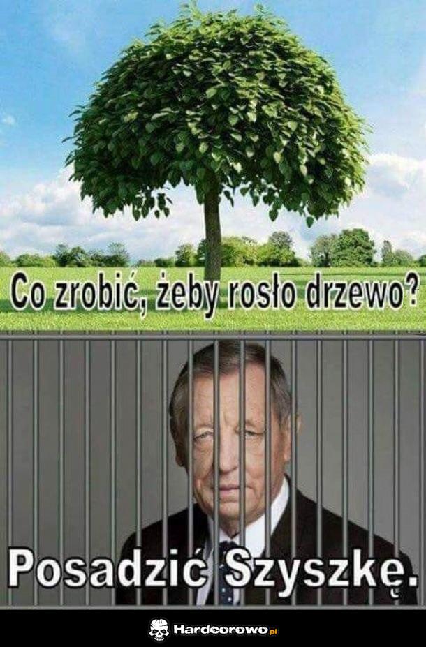 Rozsądne rozwiązanie - 1