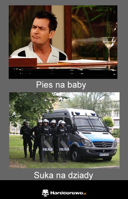 Pies i suka - 1