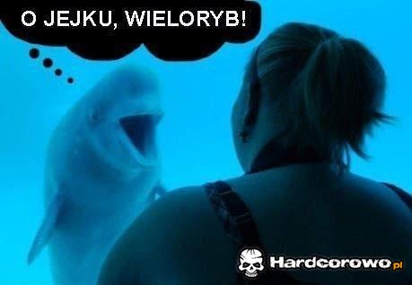 Wieloryb - 1