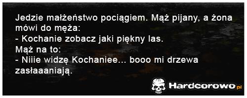 Jedzie małżeństwo pociągiem - 1