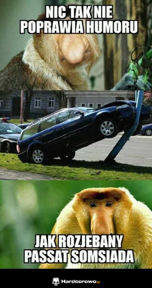 Poprawa humoru - 1
