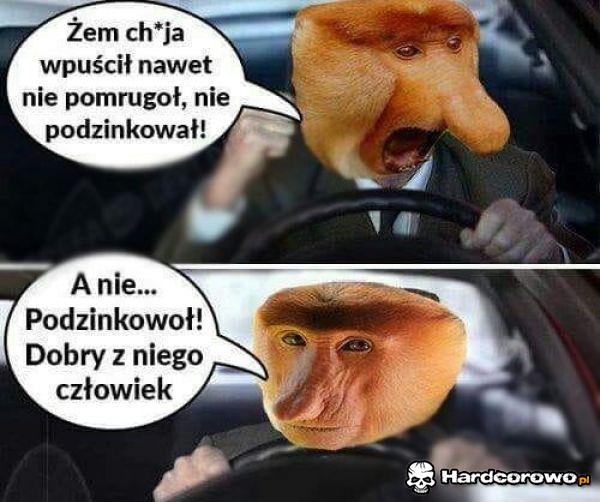 Polski kierowca - 1