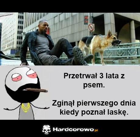 Wniosek jest prosty - 1