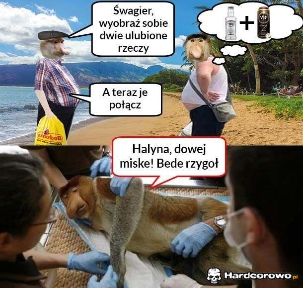 Połączenie idealne - 1