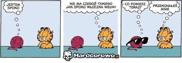 Spoko włóczka - 1
