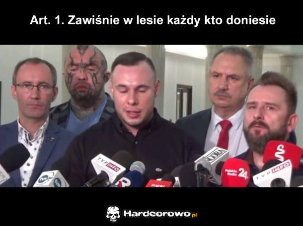 Tymczasem w sejmie - 1