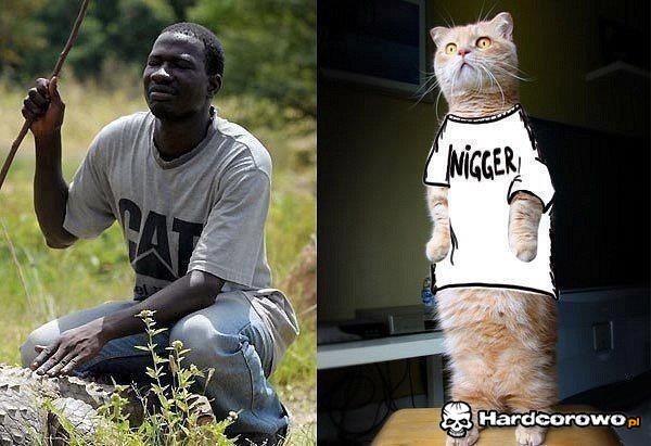 Cat nigger - 1
