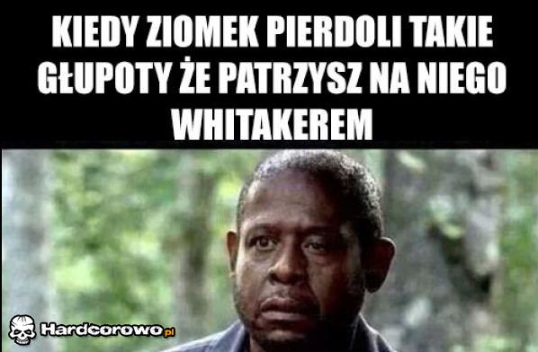 Pierdolenie głupot - 1