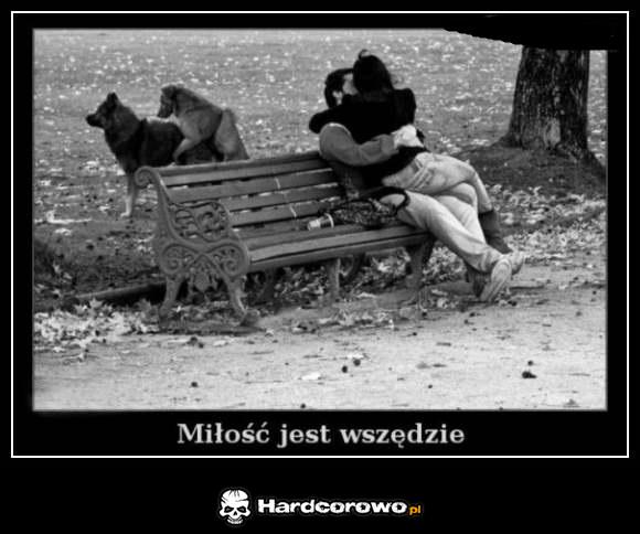 Miłość jest wszędzie - 1