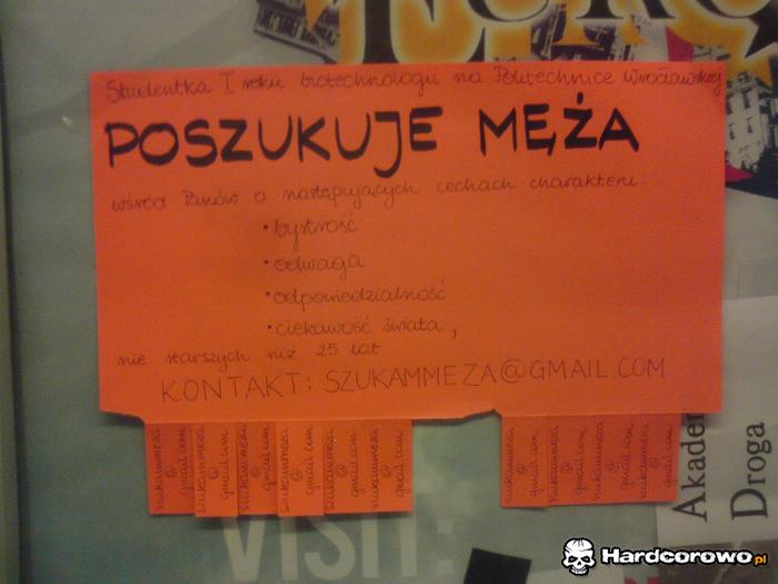 Poszukuje męża - 1