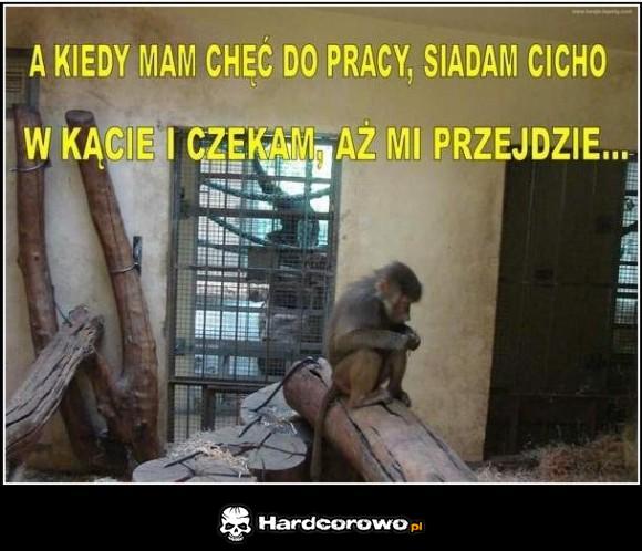 A kiedy mam chęć do pracy - 1