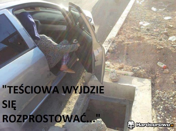 Teściowa - 1