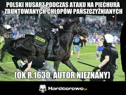 Polski husarz - 1