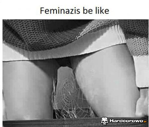Typowa feministka - 1