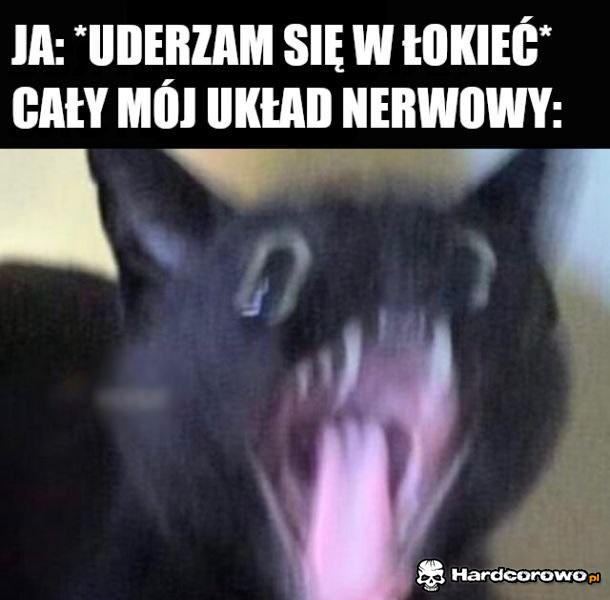 Łouo, to miejsce, które czyni prąd - 1