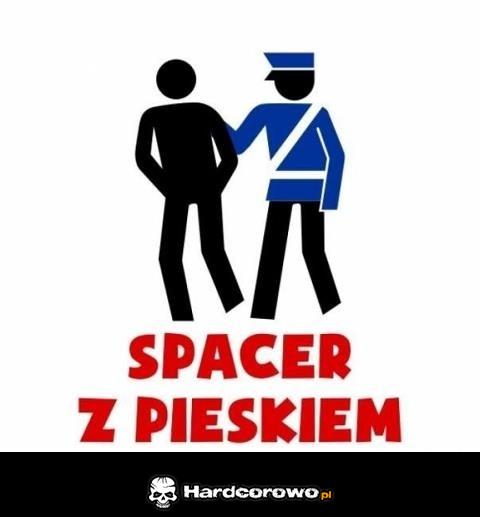 Spacer z pieskiem - 1