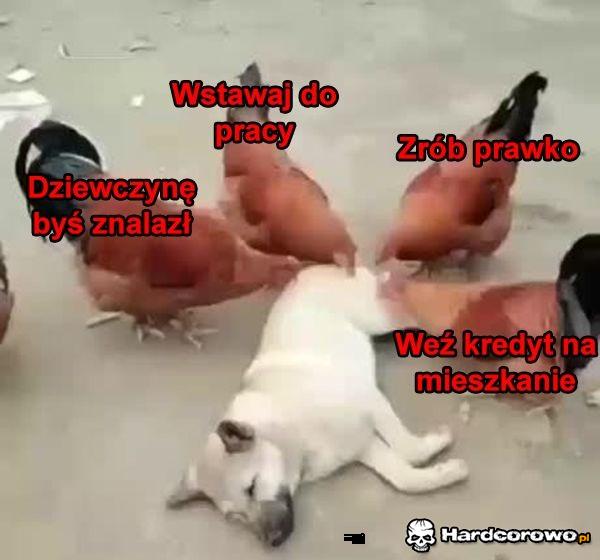 To uczucie - 1
