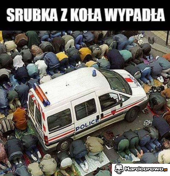 Wszyscy szukają - 1