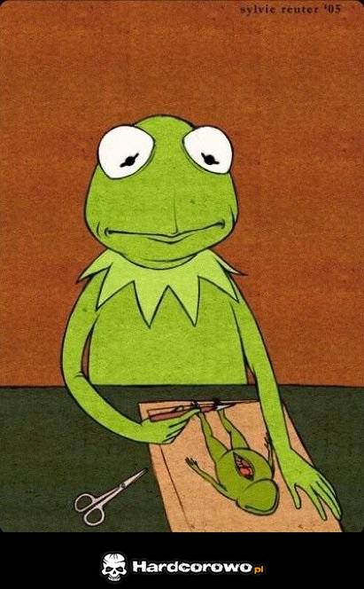 Biedny kermit - 1