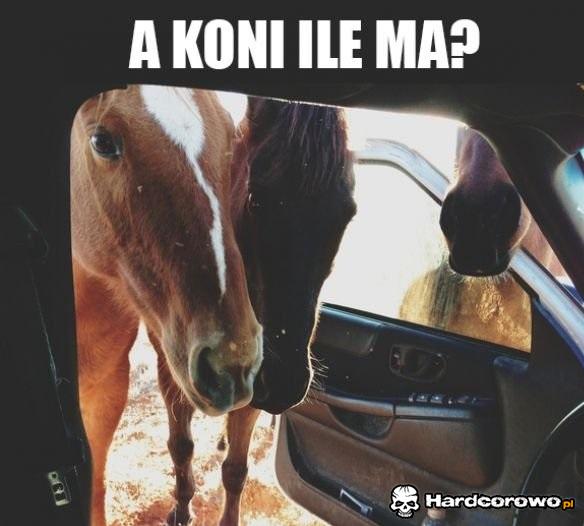 Ile ma koni? - 1