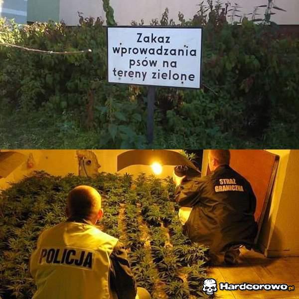 Zakaz wprowadzania psów - 1