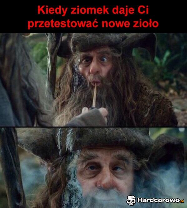 Nowe zioło - 1