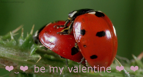Be my valentine - 1