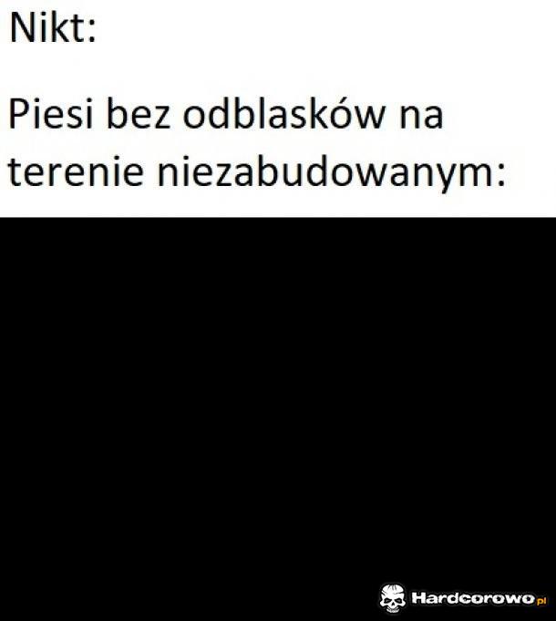 Piesi - 1