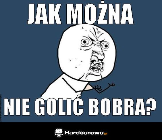 Jak można nie golić bobra - 1