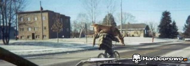 Powrót z polowania - 1