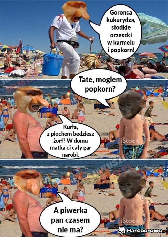 Typowy Janusz nad Bałtykiem - 1