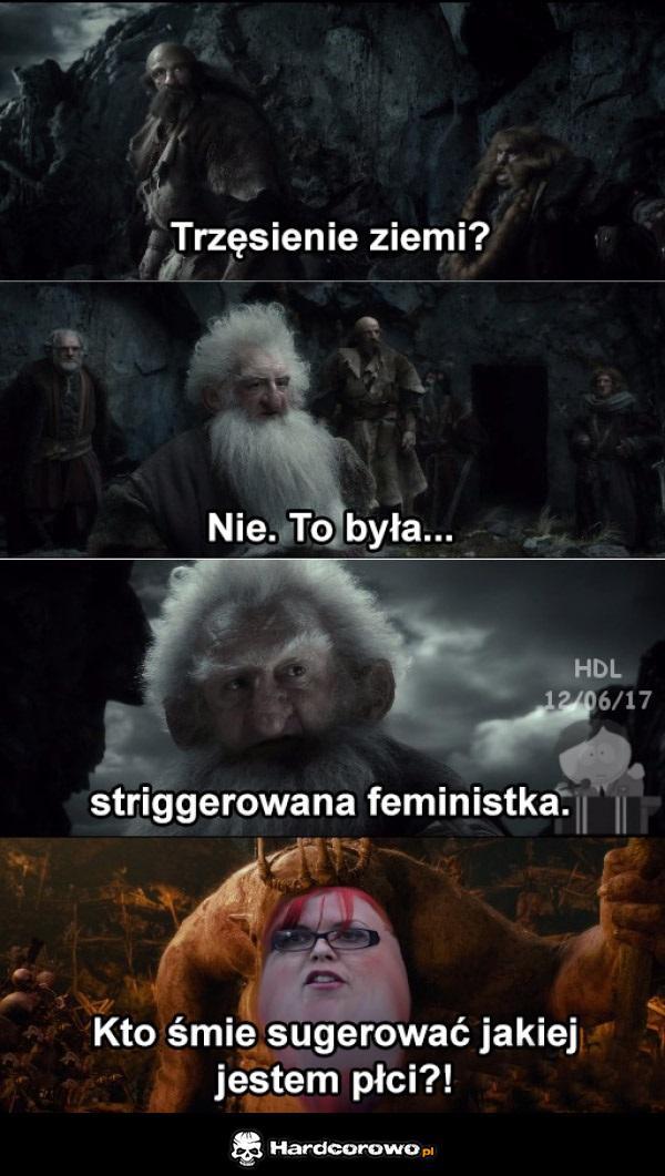 Trzęsienie ziemi - 1