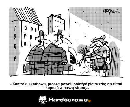 Kontrola skarbowa - 1