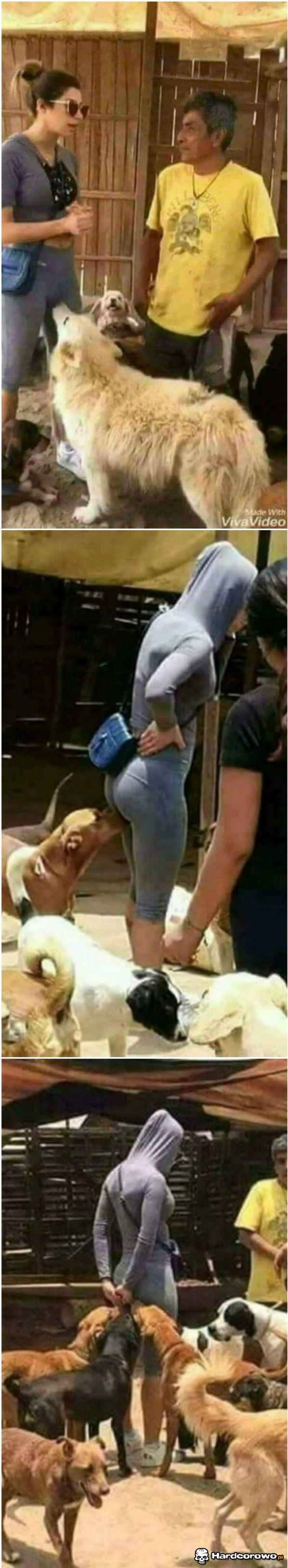 Wyczuwają cieczkę - 1