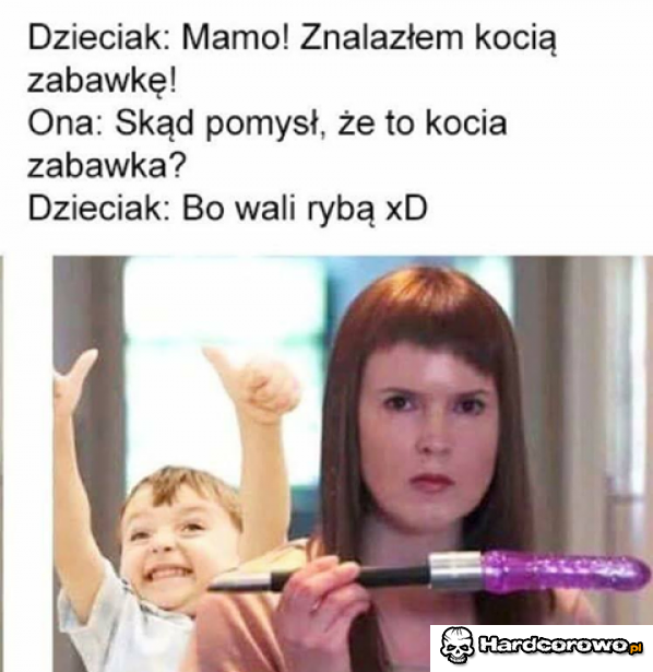 Kocia zabawka - 1
