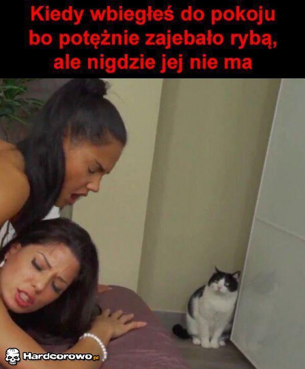 Rybka - 1