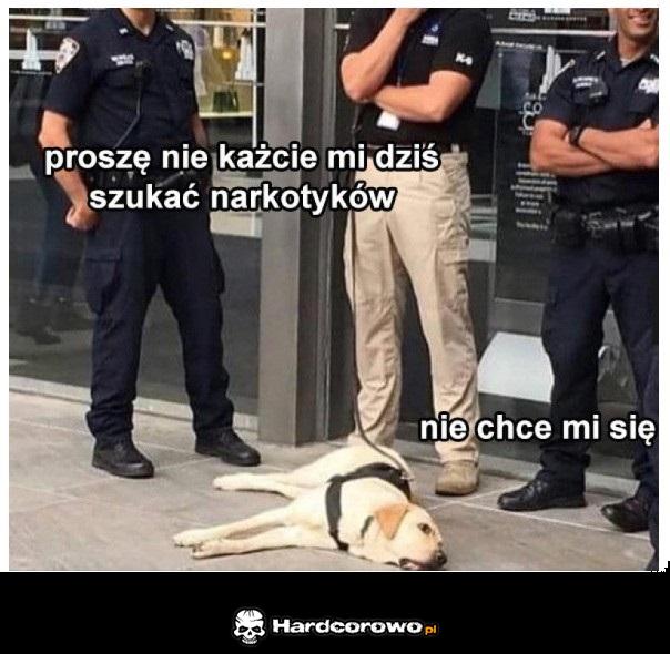 Nie chce mi się - 1