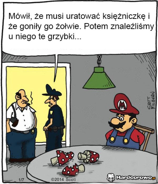 Mario - 1