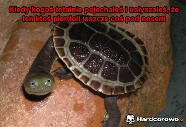 Miłość - 1