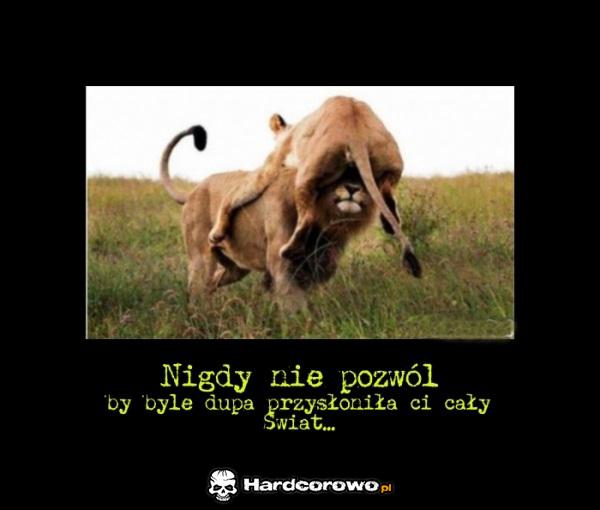 Nigdy nie pozwól  - 1