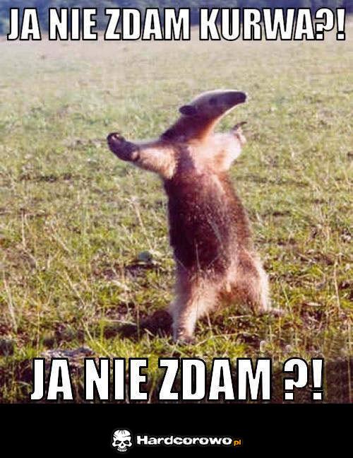 Ja nie zdam - 1