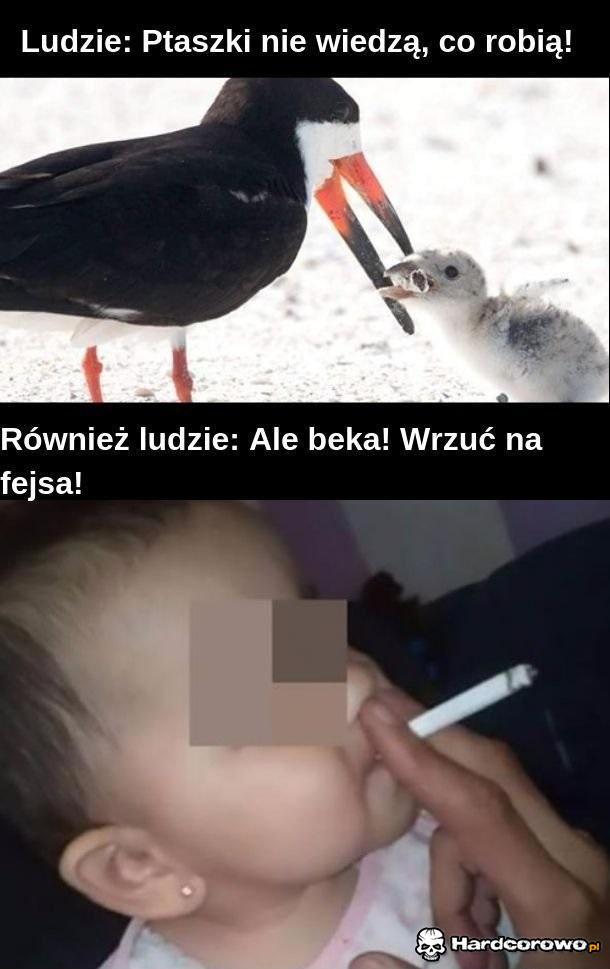 Bombelek już ma przebite uszy - 1