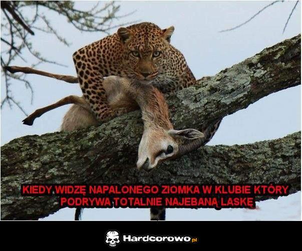 Kiedy widzę napalonego ziomka w klubie - 1