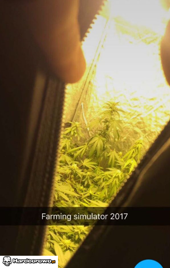 Farming simulator  2017 - 1