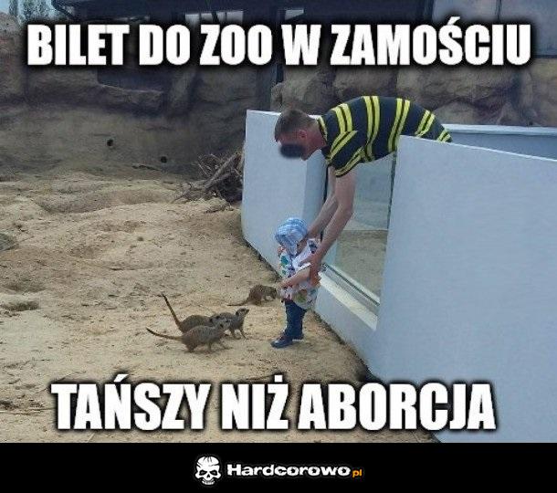 Tanie bilety - 1